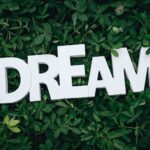 Dreams by Alicja Maria