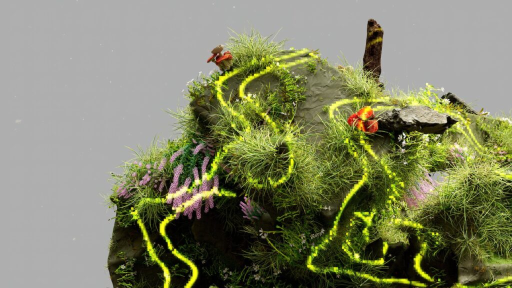 Ecosystem, Components, and Functions of the Ecosystem