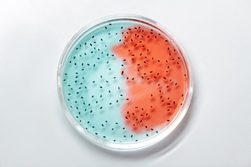Bacterium and its physiological process. Growth, multiplication and death
